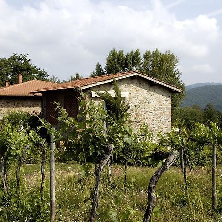 Agriturismo Castello Di Querceto Lucolena in Chianti Exterior foto