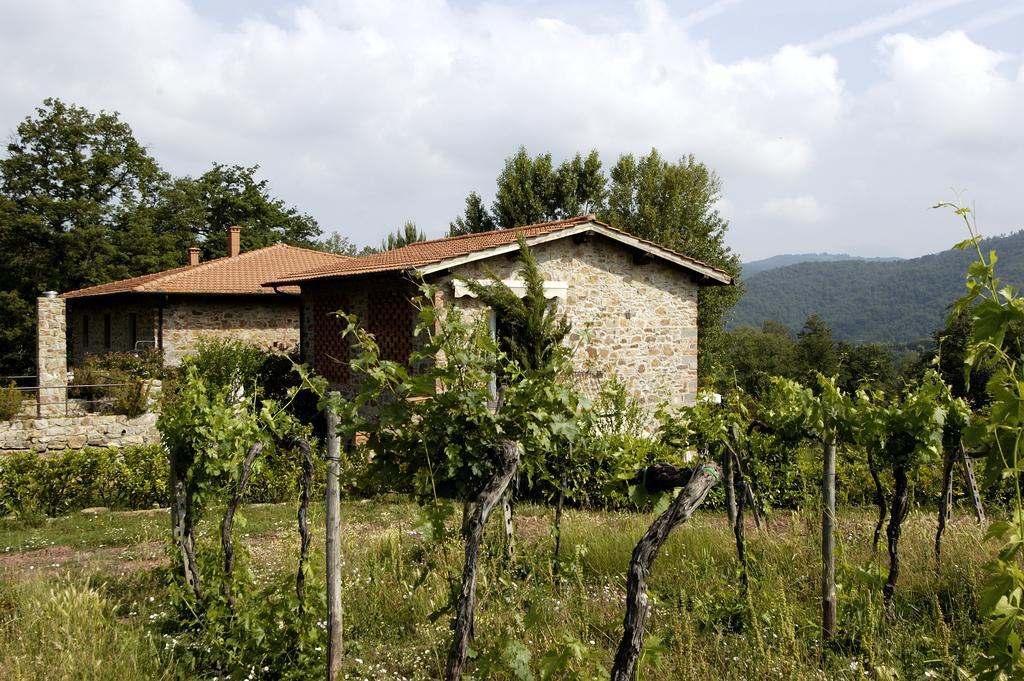 Agriturismo Castello Di Querceto Lucolena in Chianti Exterior foto